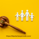 Family Lawyer's Perspective on Understanding the Basics of Family Law Terminologies