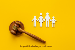 Family Lawyer's Perspective on Understanding the Basics of Family Law Terminologies